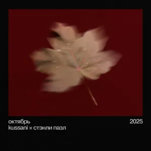 kussani, Стэнли Пазл - октябрь