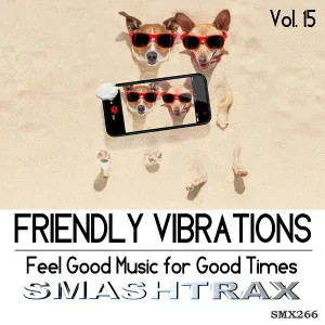Smashtrax - That Groovy Groove
