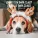 Canned Heat - Merry Christmas Blues