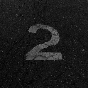 AYRYS - Disclaimer 2