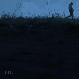 тайга - контроль