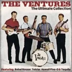 The Ventures - Bumble Bee Rock