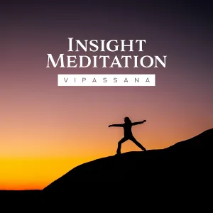 Buddhist Meditation Music Set - Insight Explosion