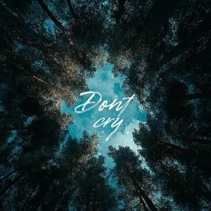 Oleg PIKL, Олег Решает, Ismail - Don't Cry