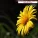 Pause & Play - City Of Hope