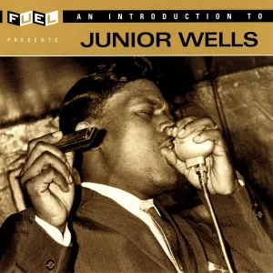 Junior Wells - Two Headed Woman