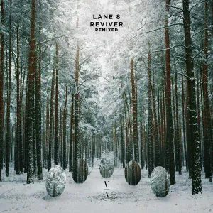 Lane 8 - I’ll Wait feat. Channy Leaneagh [Le Youth Remix]