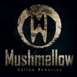 Mushmellow - The Way You Look at Me