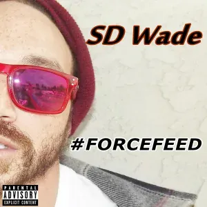 SD Wade feat. Big Vern - Love and Bricks