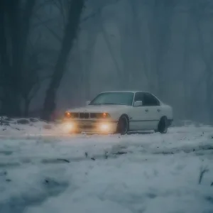 VLWXYSMILE - Snowfall