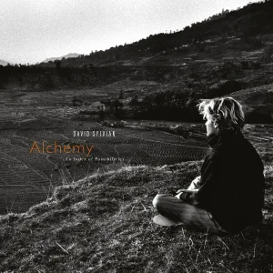 David Sylvian - Steel Cathedrals