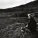 David Sylvian - Steel Cathedrals
