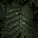 Serenity Garden, Loopable Rain Sounds, Meditação Clube - Sound of Love