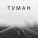 Сергей Танин - Туман