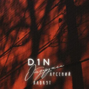 D1N, Арсений Лавкут - Обезоружен