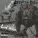 Lord Willin feat. An Artist Named Flizz, B2M Beats - King of the Hill