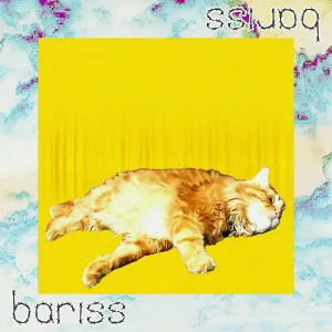 bariss - бобр, курва