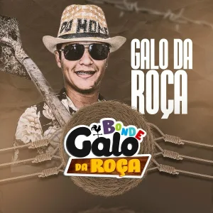 Bonde Galo Da Roça - Bota a Palma da Mão no Chão (Brega Funk)