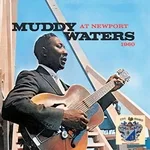 Muddy Waters - I Got My Brand on You