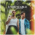 Kygo feat. X Ambassadors - Undeniable