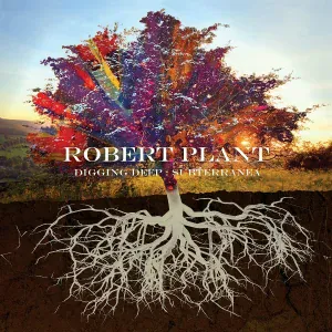Robert Plant - 29 Palms