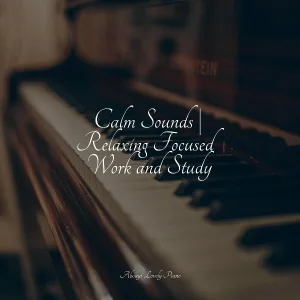 Piano Love Songs, Tranquil Music Sound of Nature, Baby Sleep Music - Pillow Melody