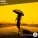 ONEIL - Umbrella
