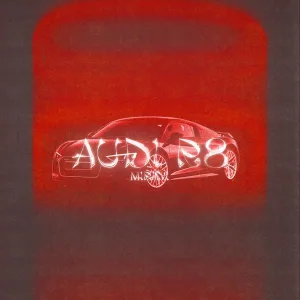 Ms Mira - AUDI R8