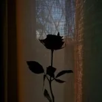 nctrn - your tears