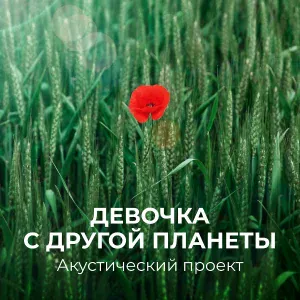 Акустический проект - Осколки