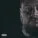 Jelly Roll feat. Bailee Ann - Tears Could Talk