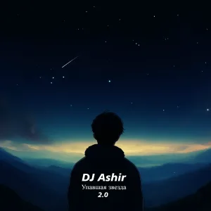 DJ Ashir - Любимая