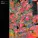 Foals - My Number