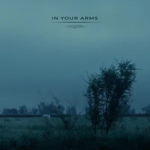 dvw logic, Matcukito Kioto - in your arms