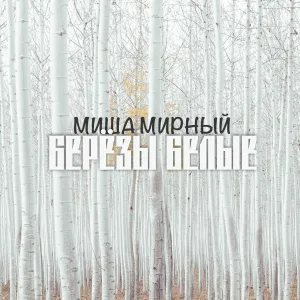 Миша Мирный - Исповедь
