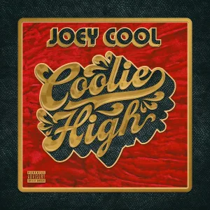 Joey Cool feat. Yung Scar, VG - Why Do You Love Me