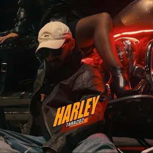 TARA202 - HARLEY