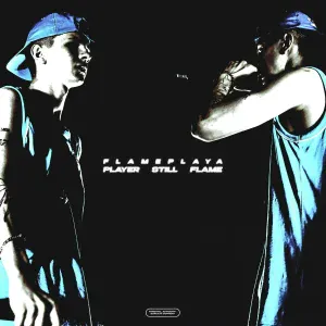 flameplaya - FIND + DESTROY