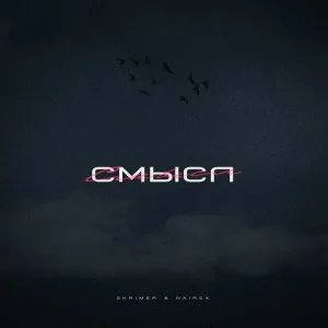 SKRIMER & NAIREX - Смысл