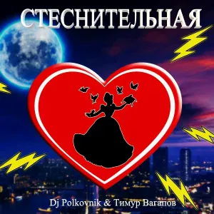 Dj Polkovnik feat. Тимур Вагапов - Стеснительная