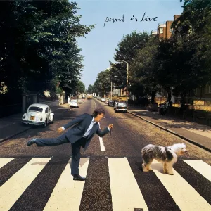 Paul McCartney - Looking For Changes