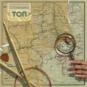 Группа ТОП - Ромашки
