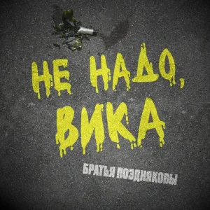 Братья Поздняковы - Не надо, Вика