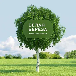 Александр Звинцов - Белая берёза