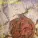 Ludwig Doerr - Antique Ornaments 2