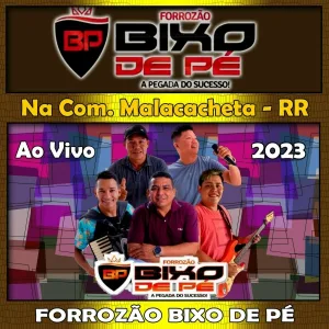 Forrozão Bixo de Pé - Com você fazer amor - Ao Vivo