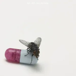 Red Hot Chili Peppers - Monarchy of Roses