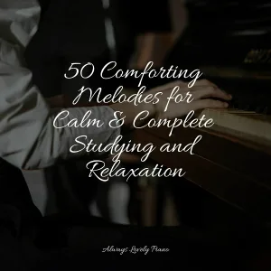 Soulful Piano Group, Classic Piano, Chillout Cafe Music - Wonderful Harmonies