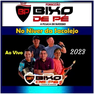 Forrozão Bixo de Pé - Ai menina - Ao Vivo