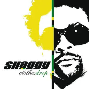 Shaggy feat. Rik Rok - Road Block